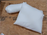 Pillows, 2 polyester 20x20