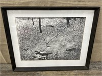 Framed woodland lithograph approx 21”x26”