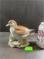 Sandpiper Shafford bird collection