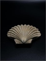 Fossilized Shell on Sandstone