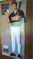 Cal Ripken jr drink milk poster, 35" x 76"