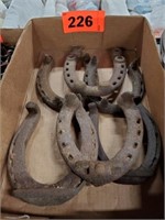 FLAT OF HORSE SHOES