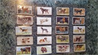 Lot of 20 Dog Tobacco Cards from the 1930s-1940s