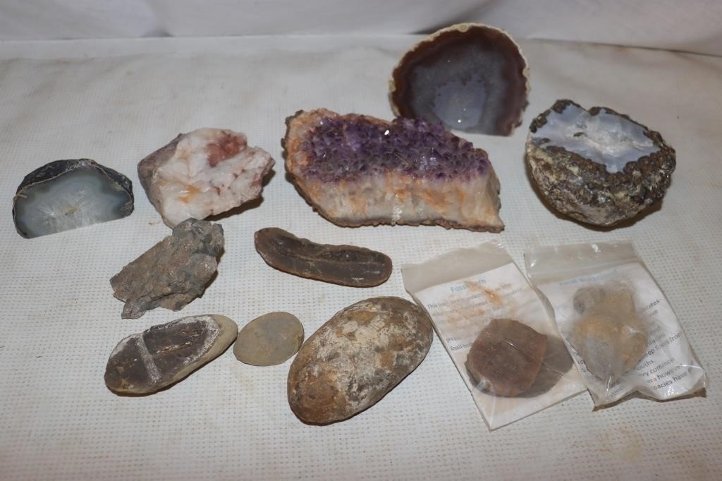 Rocks: Geodes, Fossils, Amethyst,…