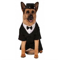 "Used" Dapper Dog - Big Dogs Pet Costume