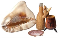 Conch Shell and Decor