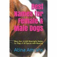 Best Names for Female & Male Dogs: More than