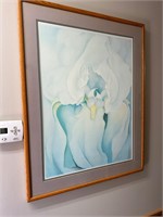 Professionally Matted Iris Picture approx 37"x 29"