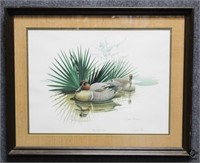 Green Winged Teal Print Signed by Richard Sloan