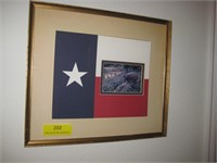 13x15 Framed Wall Art - Flag W/ Armadillo