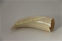 SPERM WHALE TOOTH WITH EXEMPTION FORM