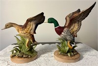Beautiful Male and Female Mallard Ducks by Andrea