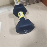 Dumbbell 15lbs Blue - All in Motion™