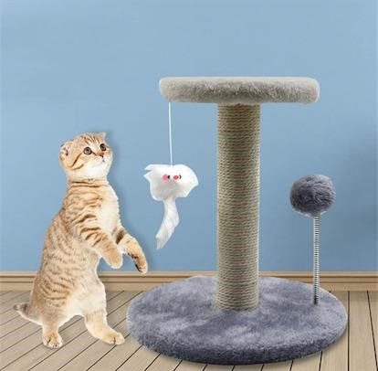 $20 Cat Scratching Post