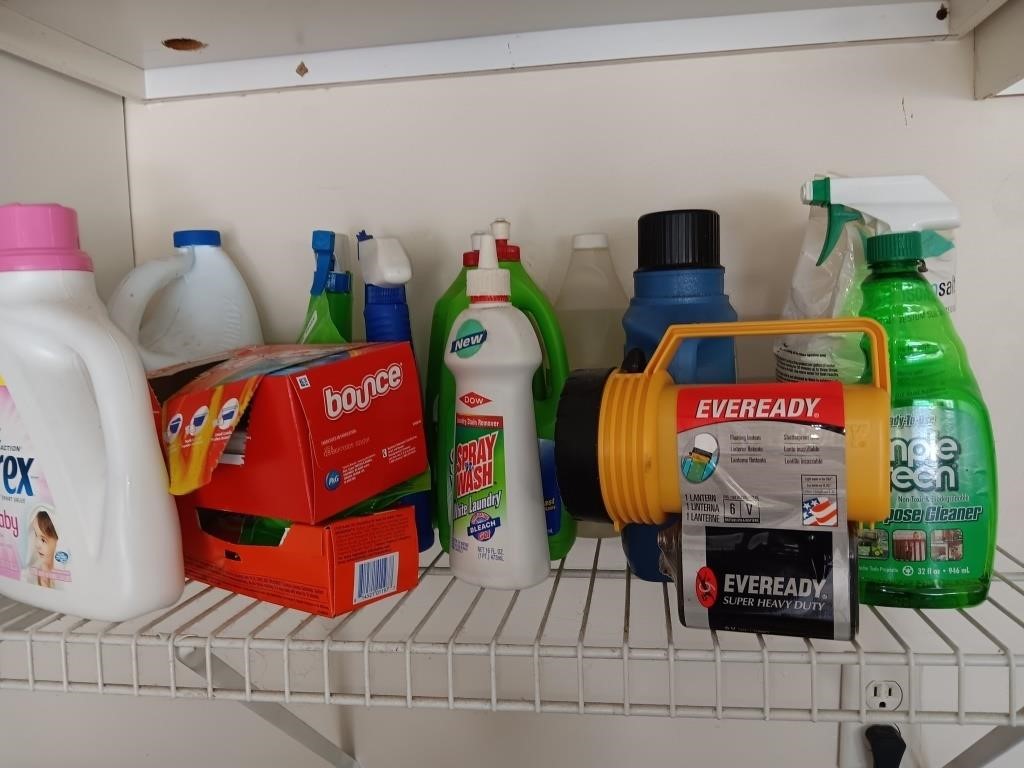 Shelf of cleaning supplies