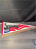 Vintage Opryland Nashville, TN Pennant