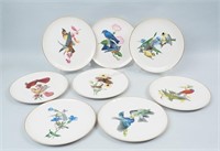 8 Syracuse China "American Song Birds" Plates
