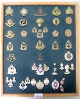 Panel forty five New Zealand military cap badges