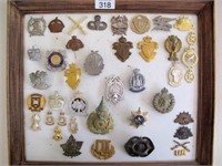 Panel various Military & Police cap badges