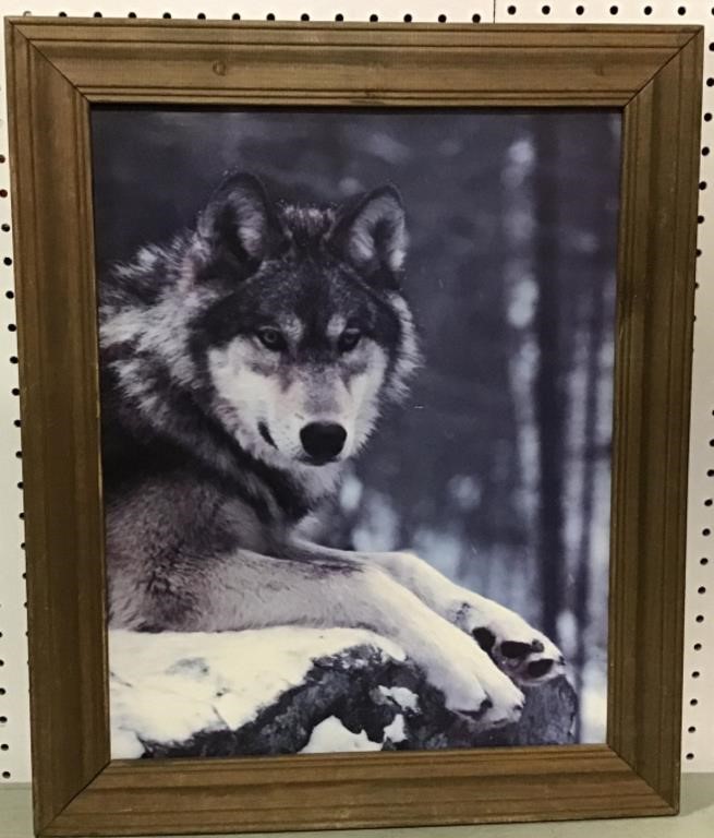 Wolf print & poster