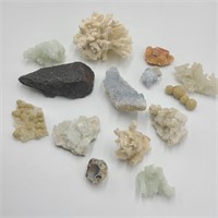Lot of Coral, Ore, Crystal, & Mineral Specimens