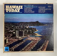 Lot of Vintage Hawaiian Music Vinyl Records #2