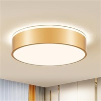 Vikaey Gold LED Ceiling Light,