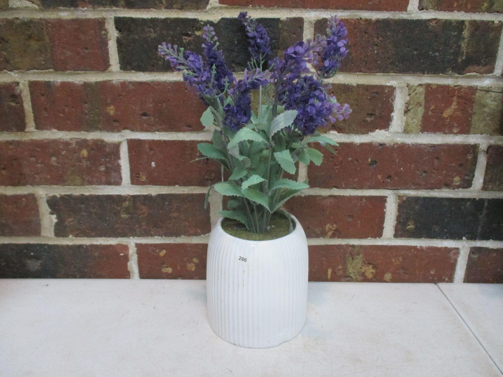 Flower Pot with Lavender Foliage