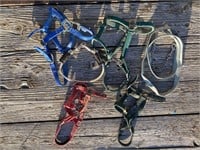4 NYLON HALTERS (VARIOUS SIZES) & LEAD WITH CHAIN