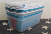 Small Storage Totes (5)