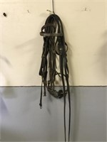 3 Head Stalls (2 come with bits) & 3 Cinches