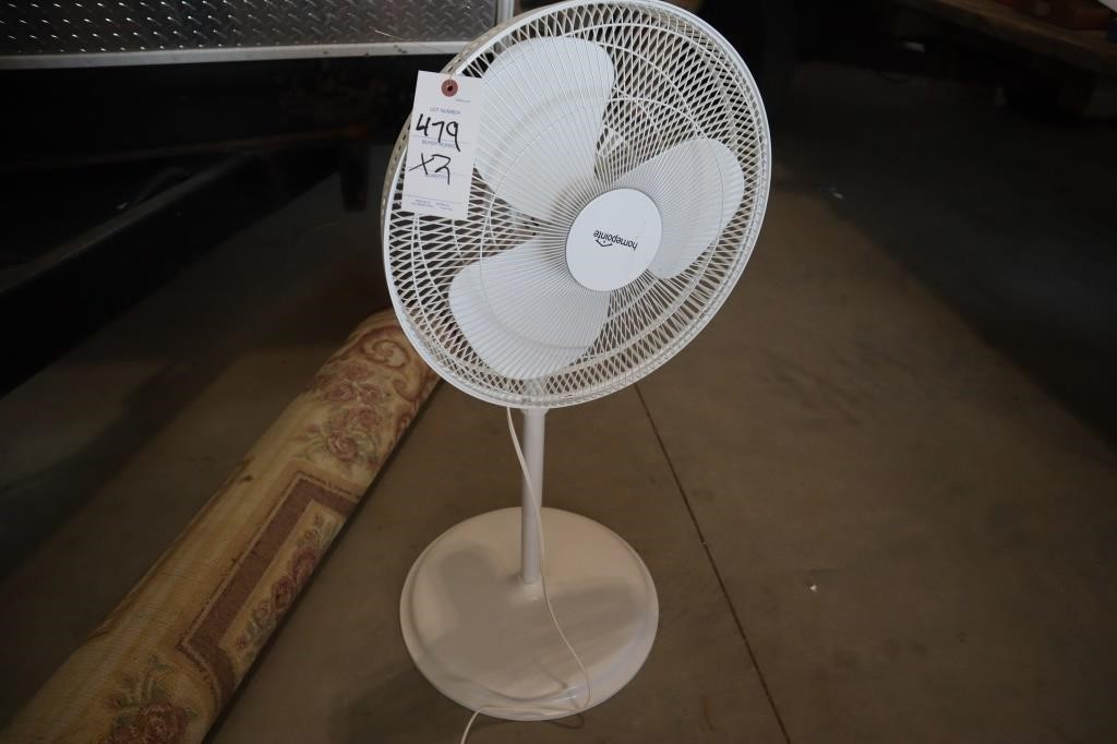 Fan and Area Rug