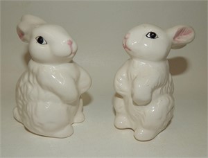 Sitting White Bunny Rabbits
