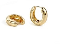 Small Thick Gold Chunky Hoop Earrings L SC