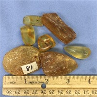 lot of 7 natural amber nuggets  unpolished, with b