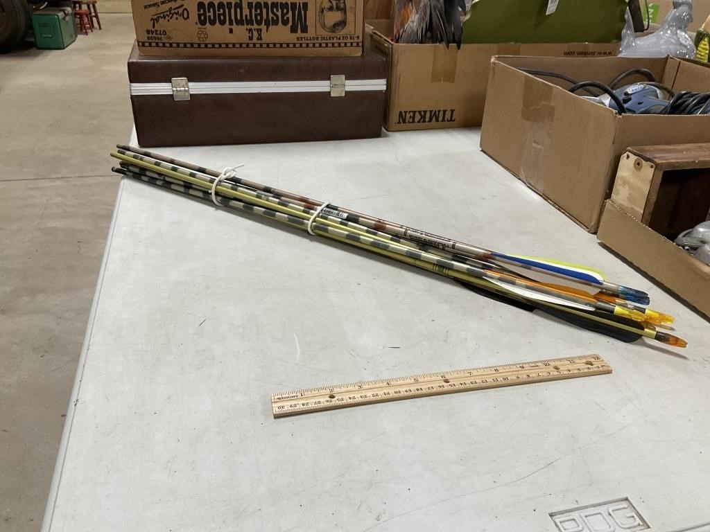 Ten 31 Inch Aluminum Arrows