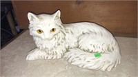 White cat