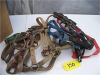 8 Horse Sized Halters
