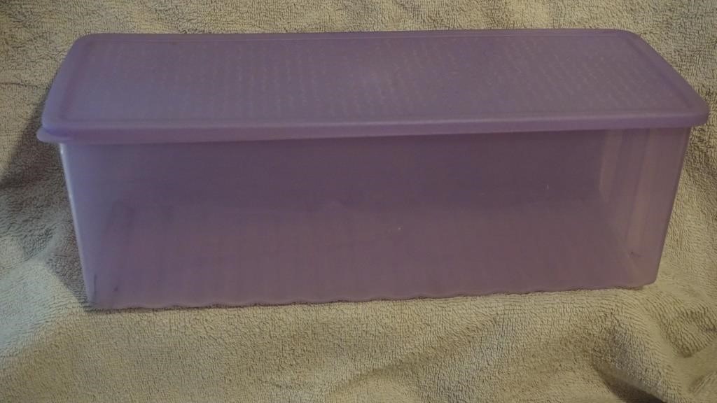 Large Rectangle Tupperware Container