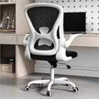 Ergo Mesh Task Chair