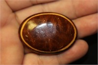 A Tortoise Shell? Brooch