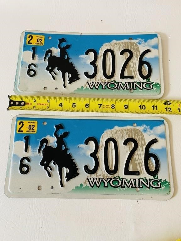 Wyoming License Plate Set County 16