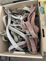 Box of Nylon Horse Halters (Approx 12)