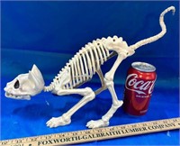 Halloween Cat Skeleton