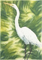 JOHN COSTIN "GREAT EGRET" HAND-COLORED ETCHING