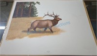 W American elk print signed and numbered