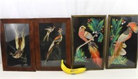 Mid-Century Mexican Feathercraft Bird Art 10