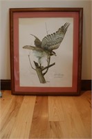 R. Dorman Hawk Lithograph for U of I