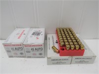 (300 Rounds) Winchester and Federal AE .45 Auto