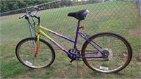 Murray Women's 10 Speed Bicycle(tires need air)